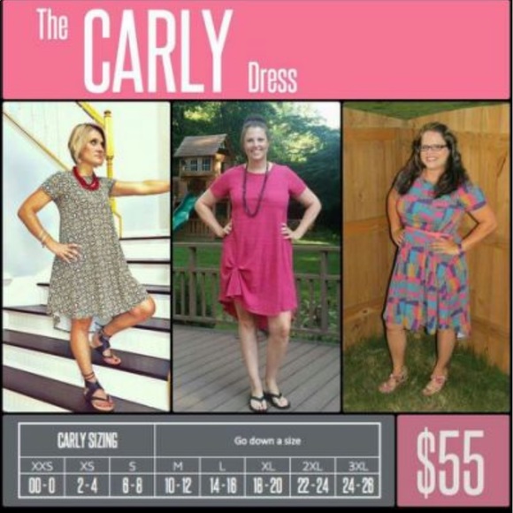 plaid LuLaRoe Carly dress top - Picture 5 of 5